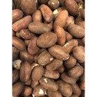 Fresh Organic Bitter Kola  garcinia Kola From West Africa  12 Pieces