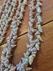 Superb Vintage Tasmanian Aboriginal Maireener Shell Necklace Long  123cms 1930s 
