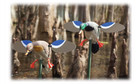 2 Decoys Baby Mojo Mallard Drake And Hen Combo Motorized Spinning Magnetic Wings
