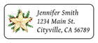 Elegant Christmas Star Personalized Seasonal Holiday Address Label Stickers Tags