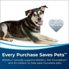 Bissell 2910 Powerforce Powerbrush Pet Carpet Cleaner