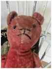 Antique Red Mohair Teddy Bear With Shoebutton Eyes 20 