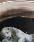 European Swiss Luzern Porcelain Tray Lion Monument Souvenir Lowendenkmal