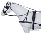 Horse Show Leather Driving Harness - Silver Spots - Horse Size