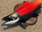 Pre-owned 26  Ozark Woods Sockeye Salmon Full Mount Replica On Wood