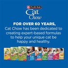 2 Bag Purina Cat Chow Complete Protein Dry Cat Food W Real Chicken 15lbs Bag