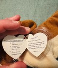 Ty Beanie Buddy Tracker Basset Hound Dog 11 5    Plush 1998 Tag Protector a bb