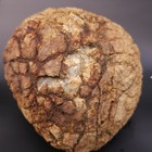 Large 15lb Septarian Concretion Stone - Natural Geological Specimen -   
