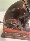 Cast Iron    bull Dog    Bank Statue