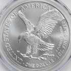 2026  1 American Silver Eagle 1 Oz Brilliant Uncirculated - With Capsule