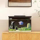  4 Gallon Betta Fish Tank smart App Control Aquarium With Filter light water Pum
