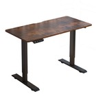 Modernchamp 48  Height Adjustable Standing Desk-20w Type-c Fast Charging Port