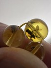 Insect Baltic Amber Tasbih Islamic Rosray 20gm                                                               