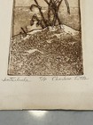 Original Pen   Ink Drawing  interlude  Reeds And Gulls By Charlene Little 6x13