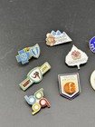 Lot Of 10 Vintage Ski Resort State Park Pins Pin Hat Lapel Olympics Colorado
