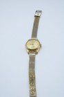 Mid-20th Century Fai Watch 21 Prix Antimagnetic Swiss Gold-tone Wristwatch  mode