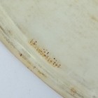  ludwig 14  Calf Skin Snare Side Drum Resonant Crown-head Vintage 20s Leedy Usa