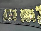 Undisputed World Heavyweight Championship Wrestling Replica Title 2mm Belt