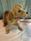 Antique Steiff Studio Beagle W button   Bonus 10  To Beagle Freedom Project 