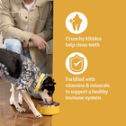 2 Pack Pedigree Dry Dog Food For Adult Dogs  High Protein  Beef And Lamb 40 Lb