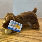 Toys R Us Animal Alley 2000 Darby Tan Big Ears Plush 12  Puppy Dog Free Ship