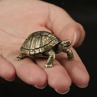 Antique Antique Turtle Brass Ornaments Turtle Gold Coins  Turtle Tabletop Crafts