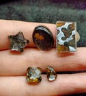 5pc Kenya Sericho Pallasite Iron Meteorite Specimen