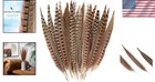 20pcs Natural Ringneck Pheasant Feathers 10-12inch