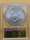 2017- p  Silver Eagle Pcgs Ms70 Struck At Philadelphia 