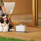 Petlibro Dockstream 2 Smart Cordless Fountain Free Shipping
