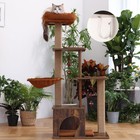 Fukumaru 4-in-1 Modern Cat Tree 53 5   Jute Scratch Post  Hammock  Wood Condo