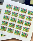 2024 5 Sheet Of 20 First Class Letter Stamps Celebration Blooms