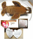 Beanie Babies Paul The Walrus Rare Tag Errors 4248 Vintage 1999 Ty Beanie Baby