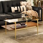 Tadio Glass Coffee Table  Mid-century Modern Coffee Table For Living Room  Go   