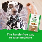 Greenies Pill Pockets For Dogs Large Size  Peanut Butter Flavor  15 8 Oz  Pouch
