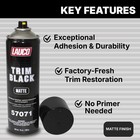 Lauco Trim Black Matte Automotive Spray Paint     13 Oz Aerosol Can For Plastic 