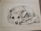 Corgi Dog Sketch Art Print Signed By Artist Polly Anna Pickering  Corgi Shoe