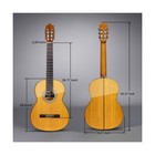 Wishmade Flamenco Guitar 39 Inch Classical Acoustic Nylon String Guitar For B   