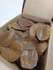 30pcs - 1000pcs Almond Leaves Catappa Ketapang Leaf 5   Betta Fish Aquarium Care