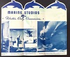 Vintage Marine Studios Marineland Fl Visitor Brochure