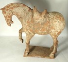 Chinese Tang Dynasty  618-907 Ad  Terracotta Horse