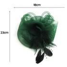 Ladies Veil Hat Flower Fascinator Feather Headdress Brooch Clip Wedding Ritual 