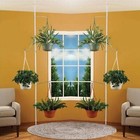 Spring Tension Rod Plant Pole With 3 Adjustable Arms New