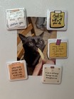 Cute Faith   Bible Verse Reminder Magnets  5 Pack 
