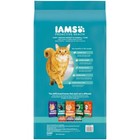 Iams Proactive Health Chicken And Turkey Dry Cat Food  22 Lb Bag
