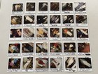 Lot Of 30 Madtv Extra Actors Continuity Polaroid Original Photos Mad Tv Wardrobe