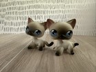 Littlest Pet Shop  5 Siamese Shorthair Cat Authentic Lps - Two  Both Pictured