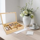 Rock Display Case Wood Crystal Collection Box With Shelves Witchy Organizer S   