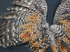 16  Cree Grizzly Chicken Rooster Wings Craft Bird Fly Tying Feathers Taxidermy