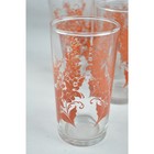 Set Vintage 1960 Orange Red Botanical Print Drinking Glasses Anchor Hocking 12oz
